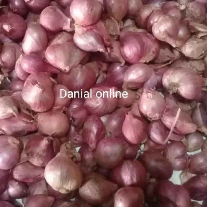 

READY Bawang Merah Probolinggo Ukuran Tanggung 1kg ^ 870