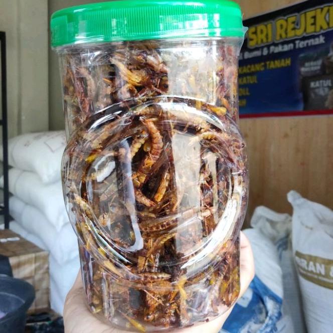 

[BAYAR DITEMPAT] Belalang goreng kecil/utis