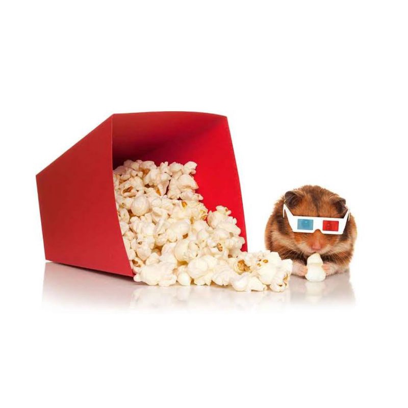 Popcorn Hamster 100g Makanan snack Hamster/Sugarglider