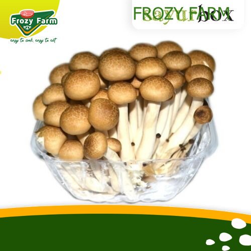 Jual Jamur Shimeji Coklat Impor Impor 1 pack Frozy Farm Shopee