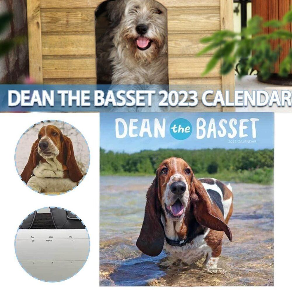 R-flower Dean The Basset Creatives Adorable Pet Dog Hanging Calendar Kalender Rumah Kantor