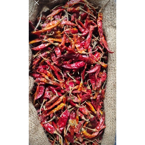 

Cabe Kering / Cabe Teja