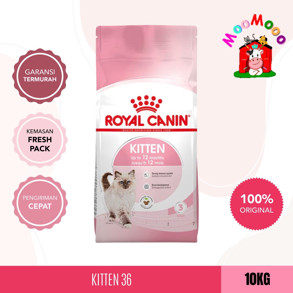 (Khusus Ekspedisi) Royal Canin Kitten 36 10Kg - Makanan Kucing