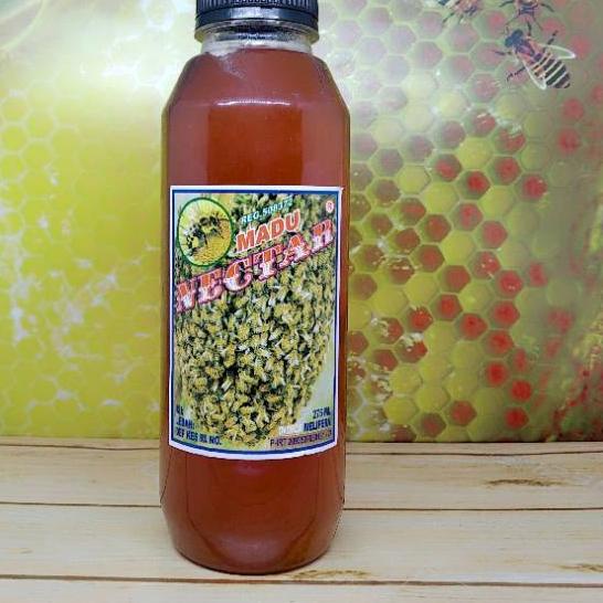 

EXCLUSIVE!Madu Nectar 5|SQ5