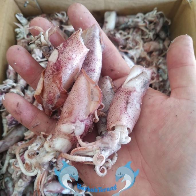 

Baby Cumi / Cumi Asin / Cumi Sotong 1KG