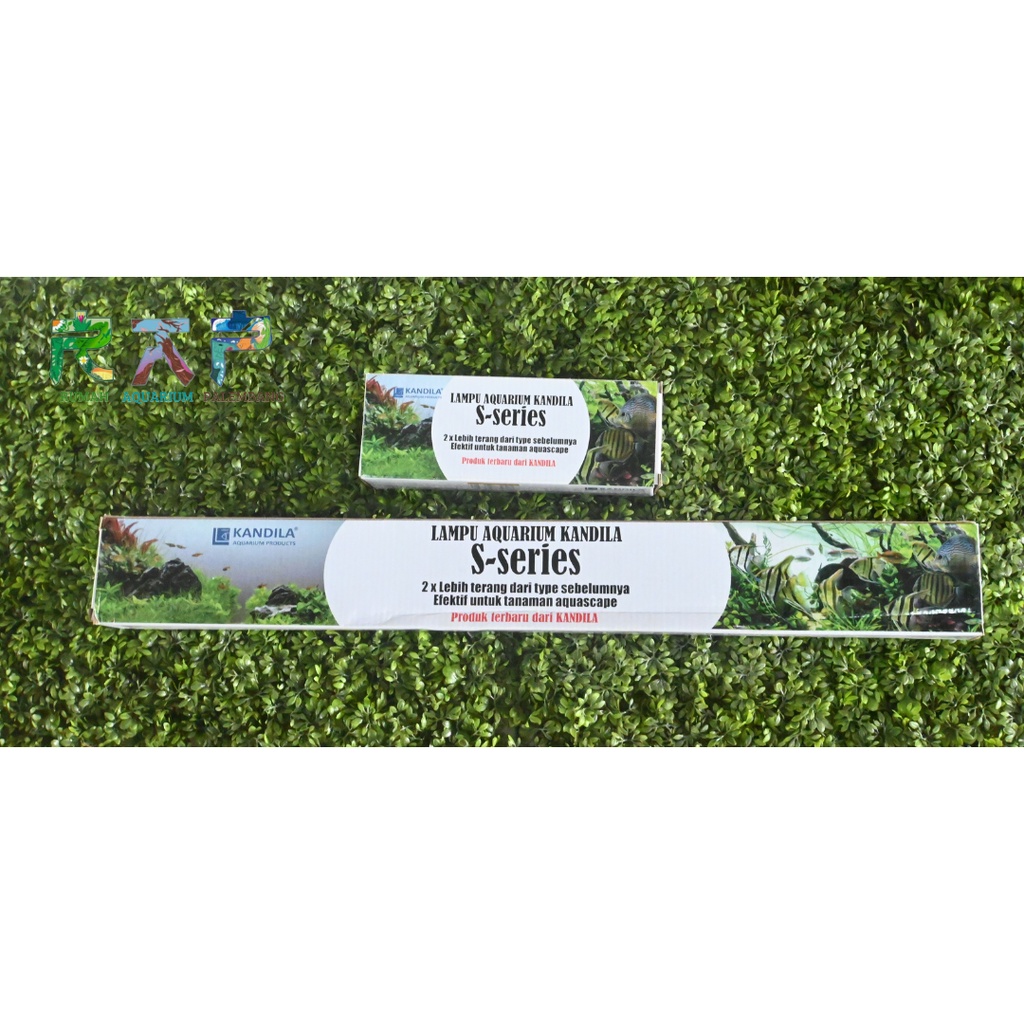 Kandila S Series 600