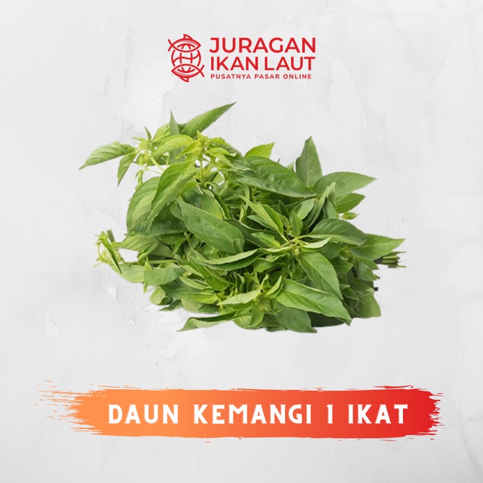 

Daun Kemangi Segar Fresh Berkualitas - 1 Ikat
