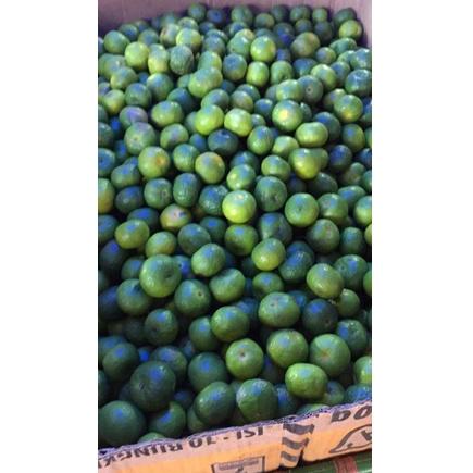 

☍Kirim Langsung★☍ jeruk limau limo 1 kilogram / 1kg / kecil 71 ❆