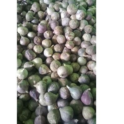 

WOW BANGET Bawang putih TunggaL/Lanang½ kg ☼ 887