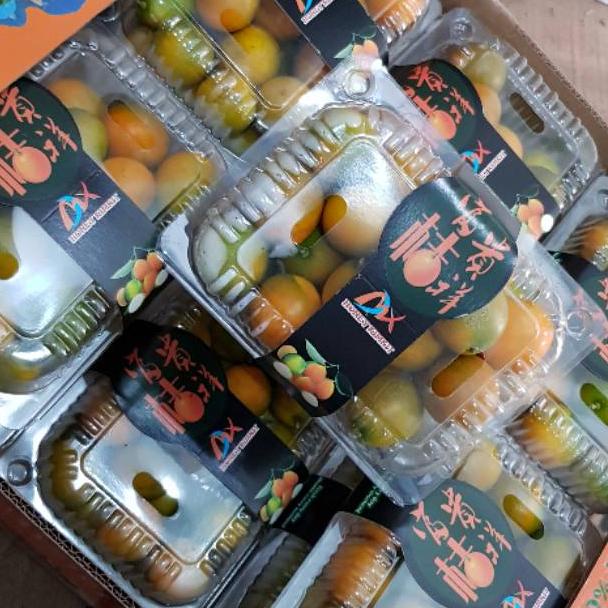 

[P-1&Q ❤] Jeruk kimkit madu 400 gram-top produk