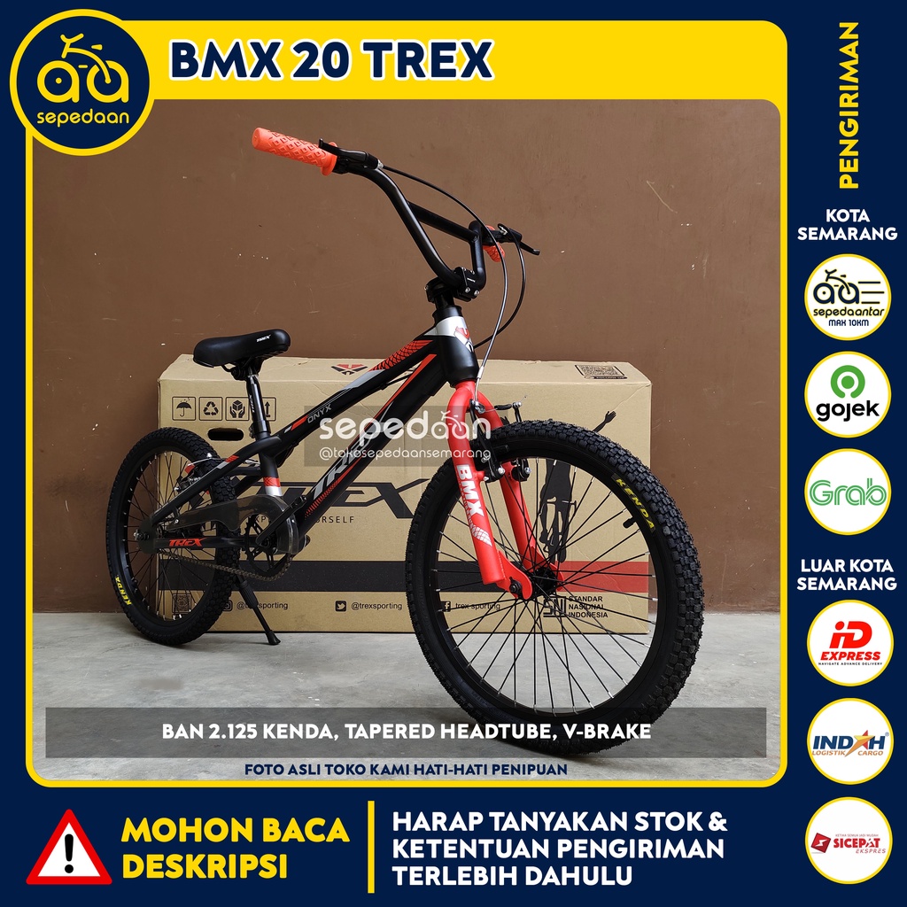 Sepeda Anak BMX 20" TREX - 2.125 3 (GRAB CAR)