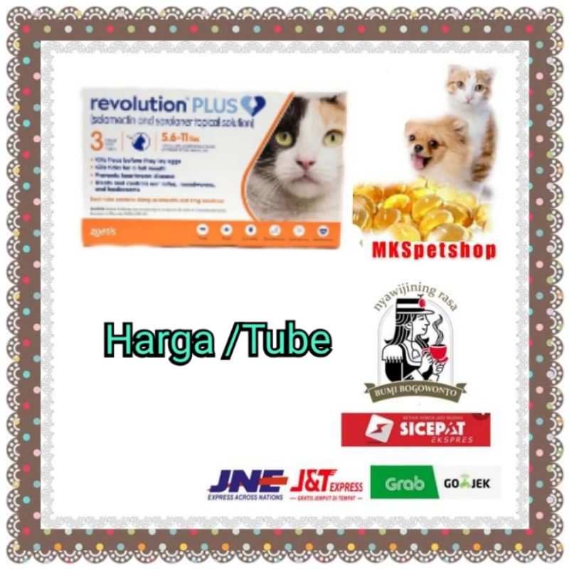 Revolution Plus Orange for Cat 2-5kg