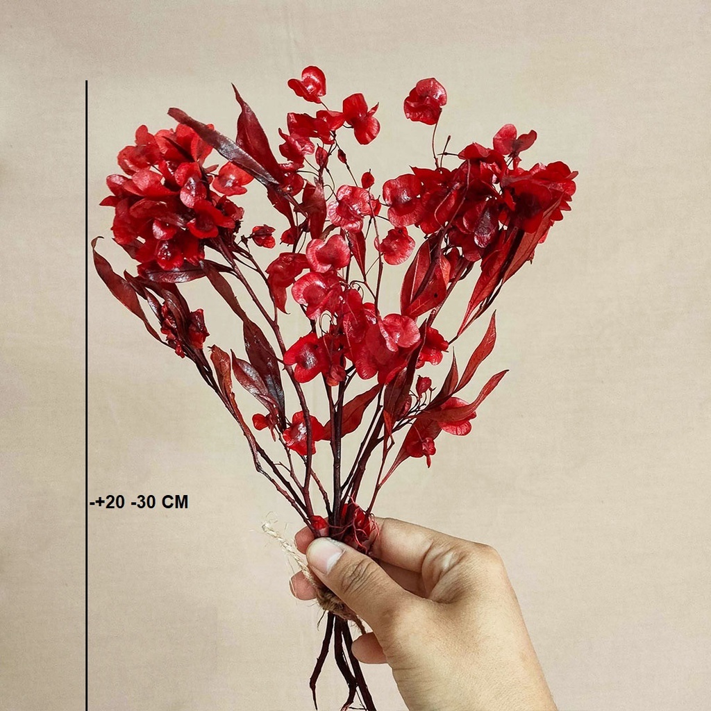 Chinese New Year Preserved Red HopBush Dodonaea  Bunga Imlek  Dekorasi  New Year 2023 Decoration Preserved Flower Bunga Kering Dried Flower Dry Flower  Tahun Baru Imlek