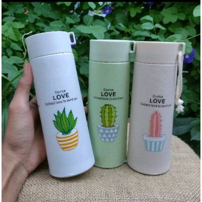 souvenir botol kaktus