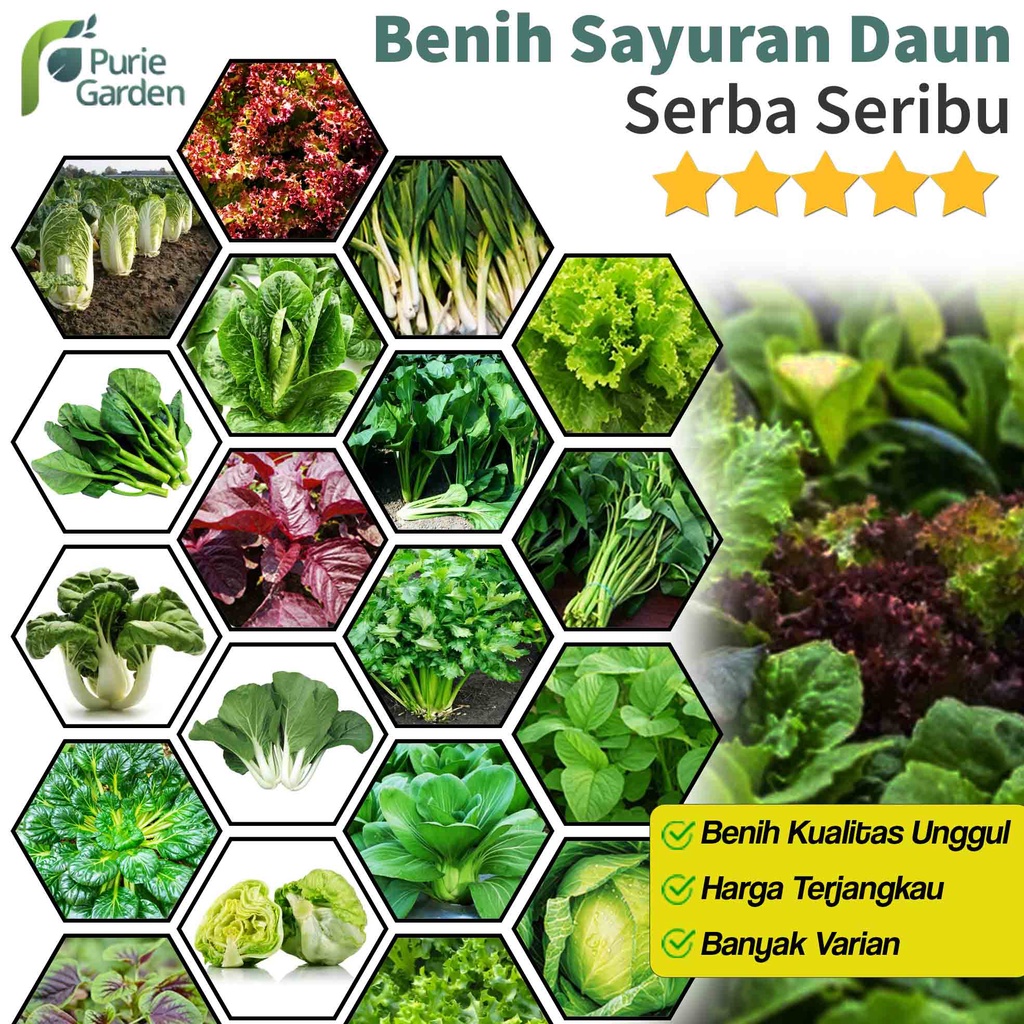 Bibit Benih Seribuan Sayur Daun Bibit Sayur Kangnkung Bayam Sawi Pakcoy Selada dll