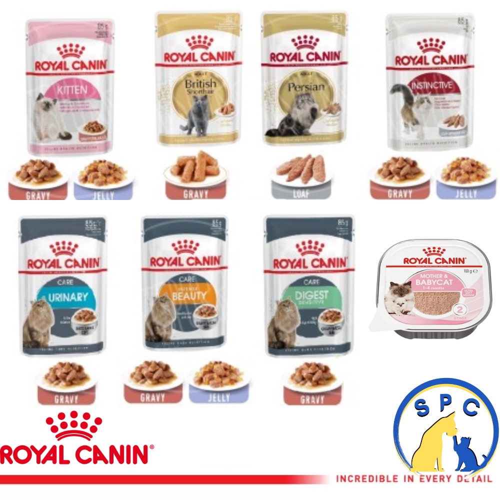 ROYAL CANIN RC Wet Food Makanan Basah Kitten Intense Beauty Gastro Instinctive Mother Babycat