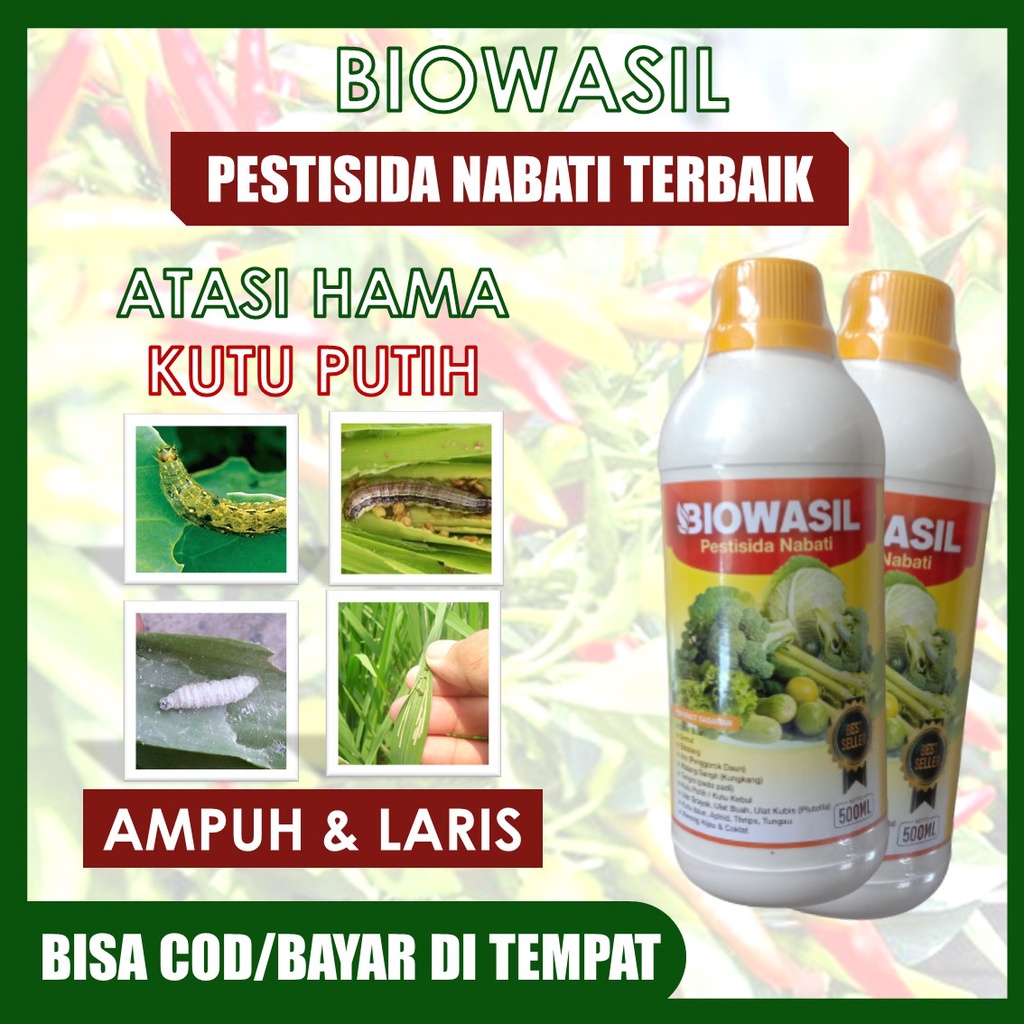 (BISA BAYAR DI RUMAH) BIOWASIL Pestisida Alami basmi Ulat Daun Bawang, Ulat Cabe, Ulat Mangga, Ulat 