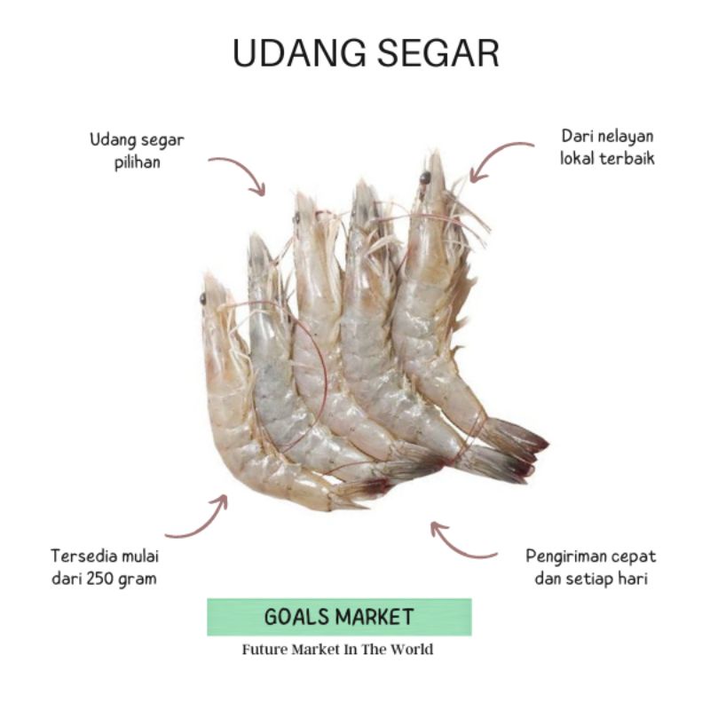 

Udang Segar 250 gr - 1 kg Udang Lokal Sedang