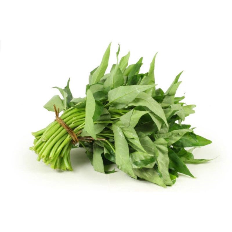 

Kangkung