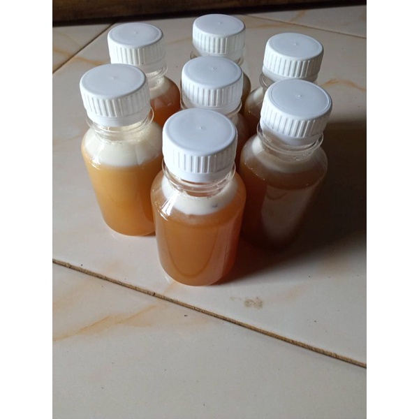 

MADU lanceng,klanceng,kelanceng,trigona,kelulut (isi 100mili)