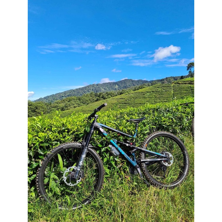 Jual Sepeda MTB Polygon Siskiu N9 L 29