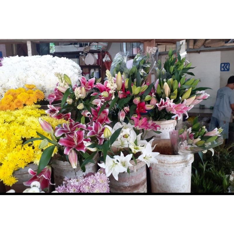 bunga Lily segar/wangi/bunga potong
