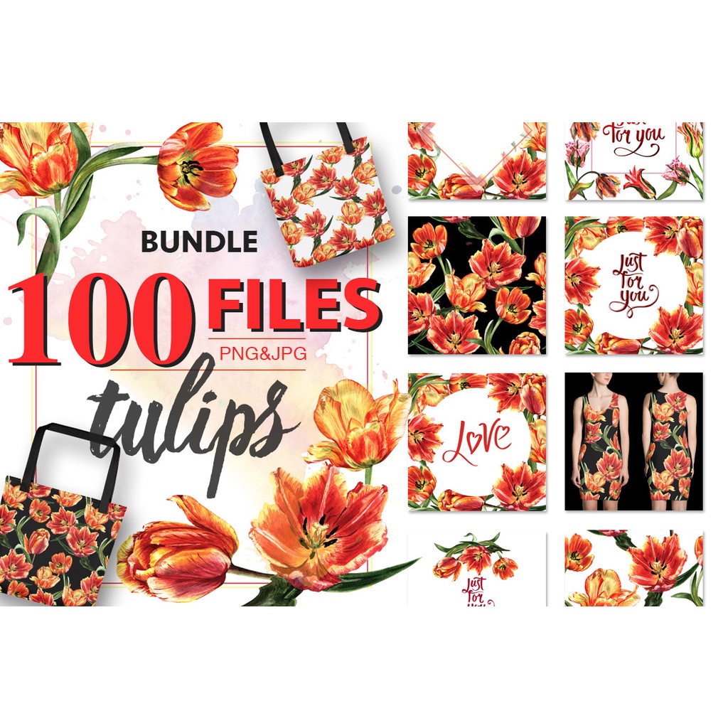 700+ files in 1 BUNDLE 14 collections