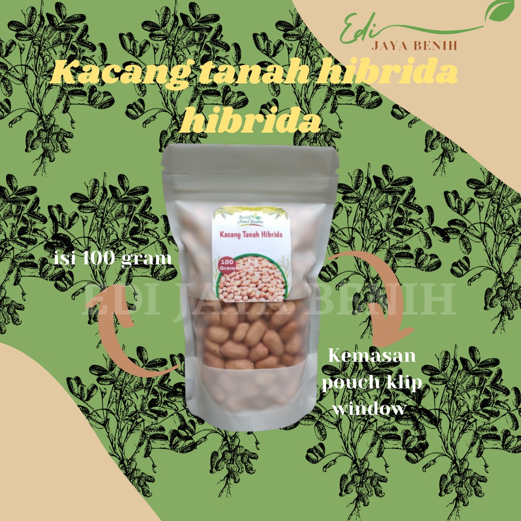 Jual Bibit Benih Kacang Tanah Hibrida Super Isi Gram Benih Kacang Tanah Shopee Indonesia