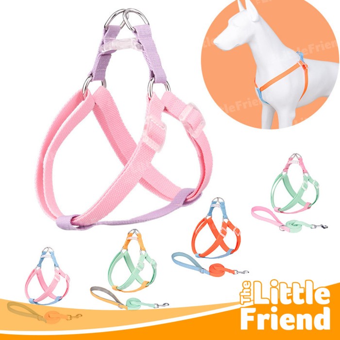 Harness Collar Leash Tali Anjing Kucing Macaron Rainbow Color 4 in 1