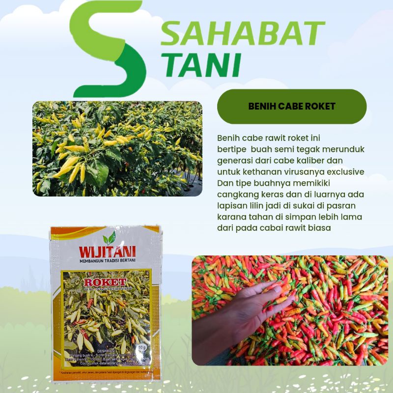 BENIH CABAI RAWIT ROKET 10GR