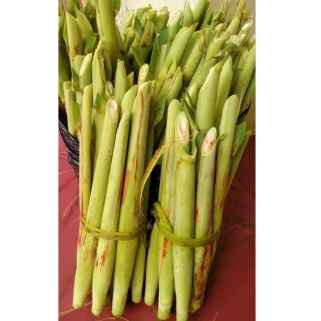 

[C-F8F] ✓] Terubuk / Tebu telur Murah Berat1Kg-berkualitas