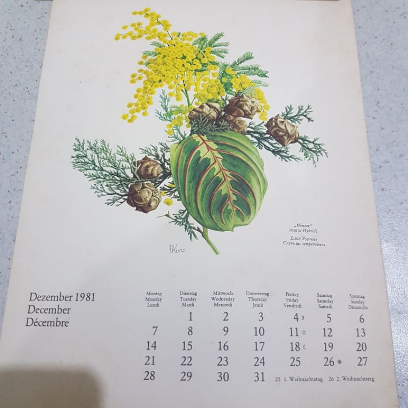 

Kalender asli cetakan 1981 Jerman bulan Desember 1981 gambar bunga