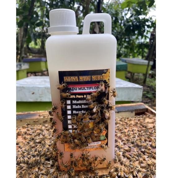 

(I-U2U)(♫♪) Madu Multiflora super 1kg | raw honey | grade A 100% murni terviral