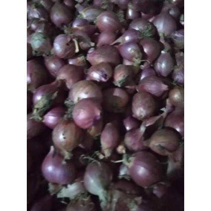 

㊞ Bawang merah lokal 1kg ⌅