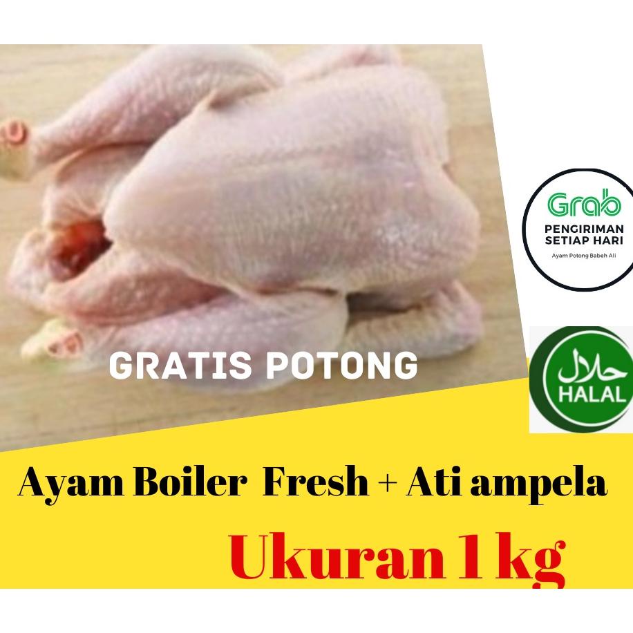 

[BAYAR DITEMPAT] Ayam Potong /Ayam Segar / Ayam Boiler 1KG