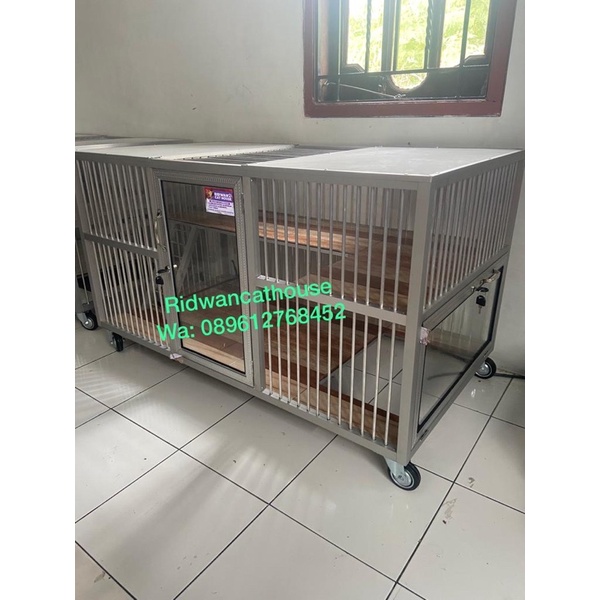kandang kucing medan mantap