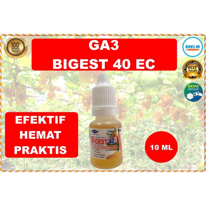 GA3 Bigest 40 EC 10 ml Hormon Giberelin Acid ZPT Tanaman Buah Anggur QQ33