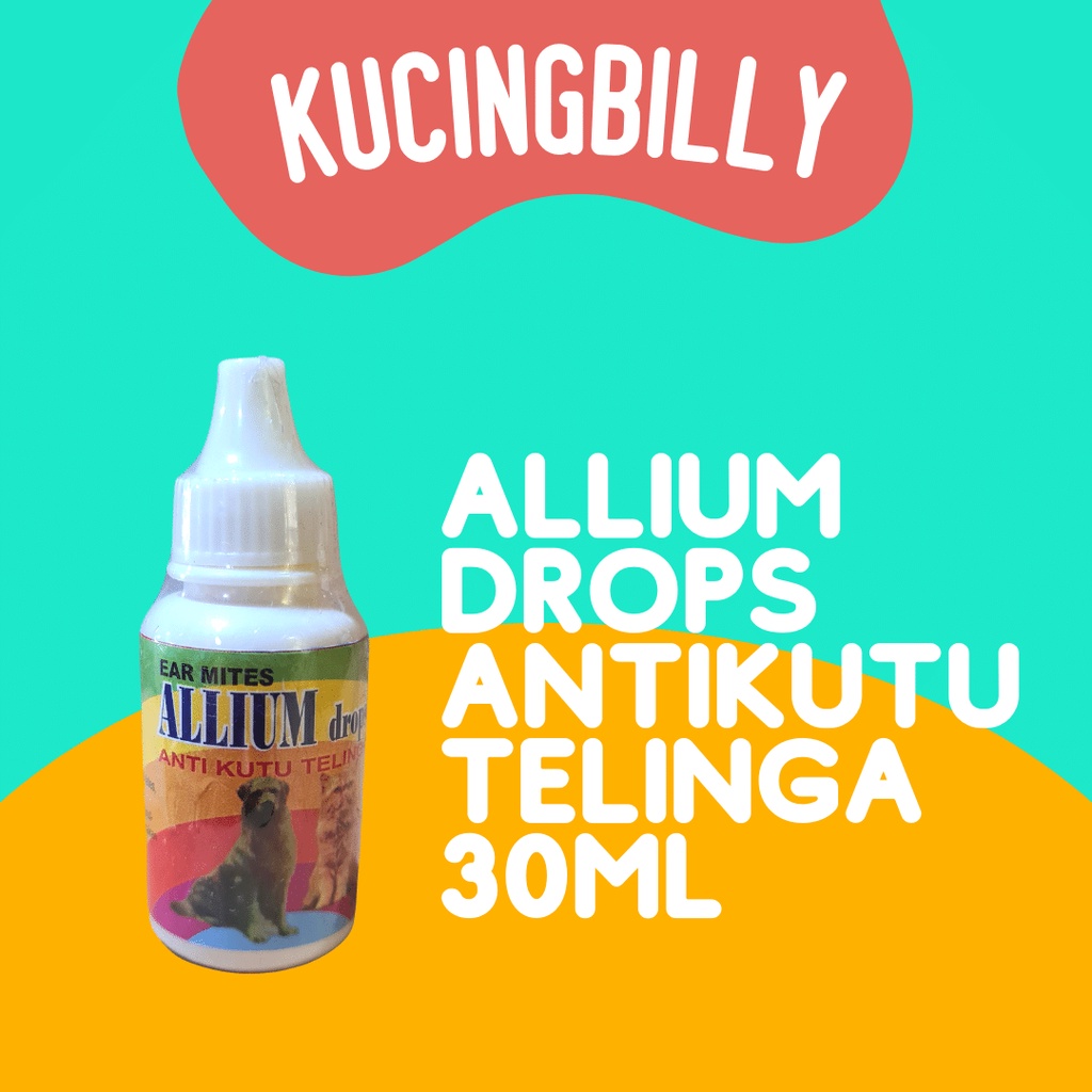 Allium Drops 30ml antikutu telinga