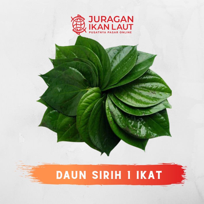

Daun Sirih Berkualitas - 1 Ikat