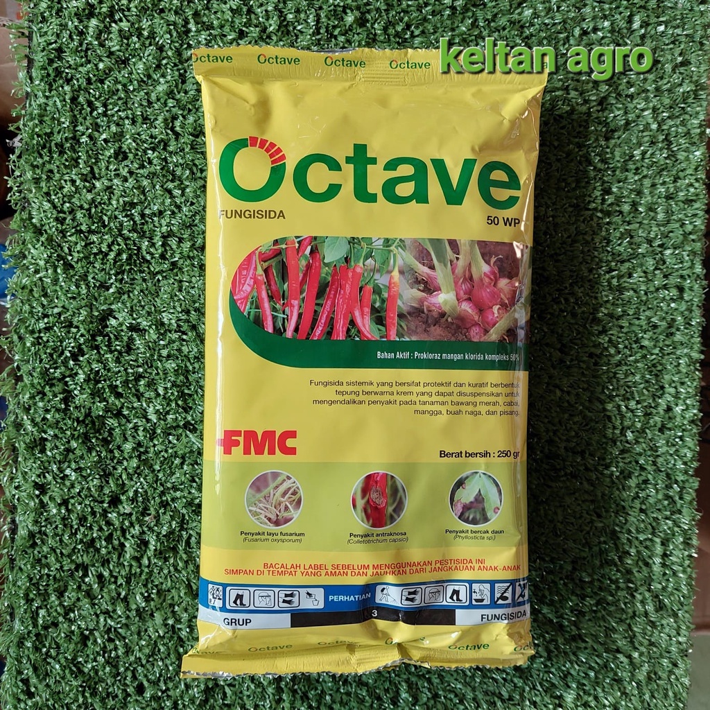 OCTAVE 50 WP ( 250 GR )