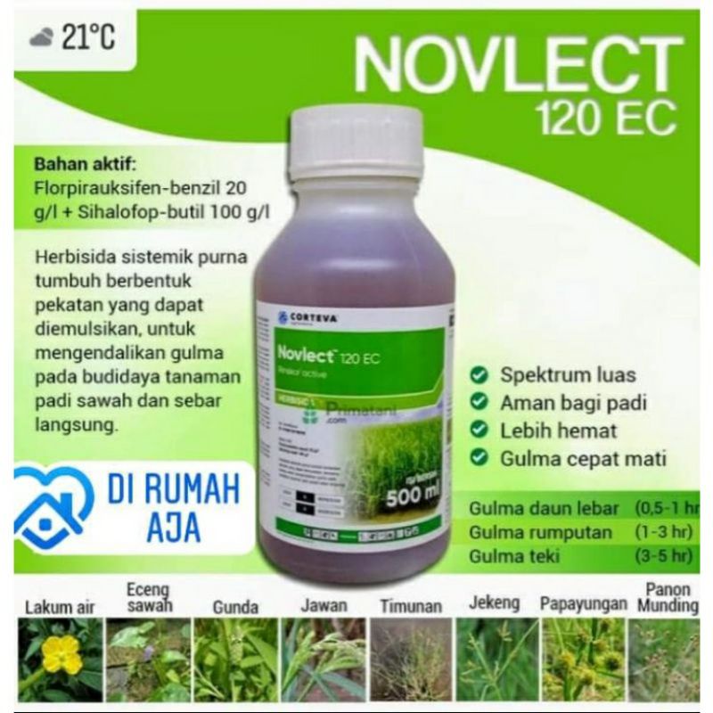 HERBISIDA ampuh obat gulma NOVLECT 500 ml