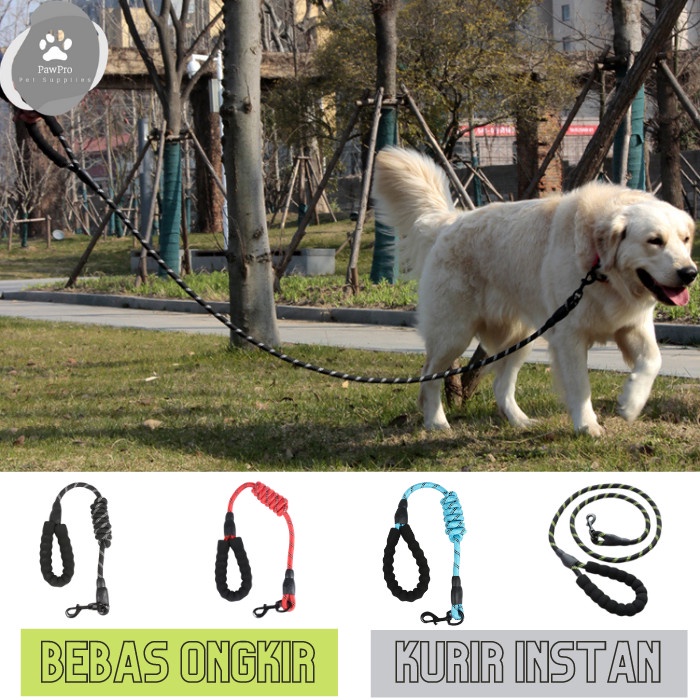 TALI ANJING MEDIUM - BESAR TALI TUNTUN ANJING TALI TUNTUN NYLON