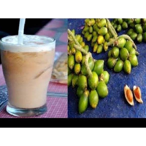 

NEW PRODUCT Buah pinang segar/Jambe muda segar alami ^ 883