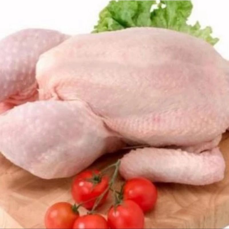 

Ayam Broiler