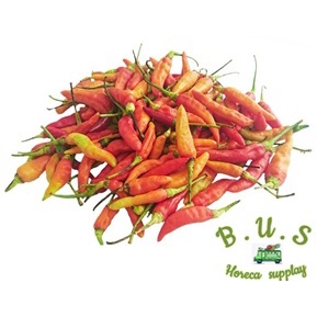 

Cabe Merah Rawit Campur B.U.S
