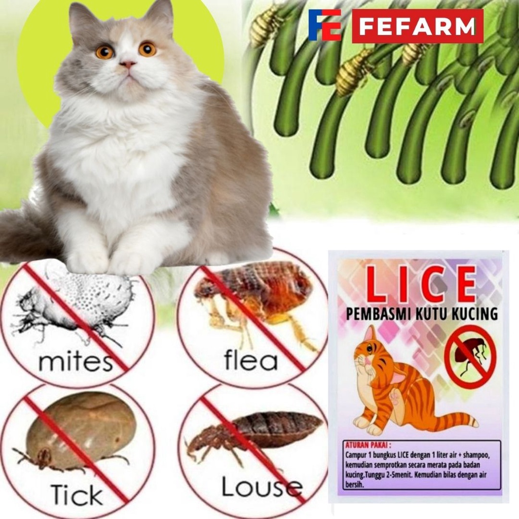 Obat Anti Kutu Kucing Pembasmi Kutu Kitten Cat LICE FEFARM