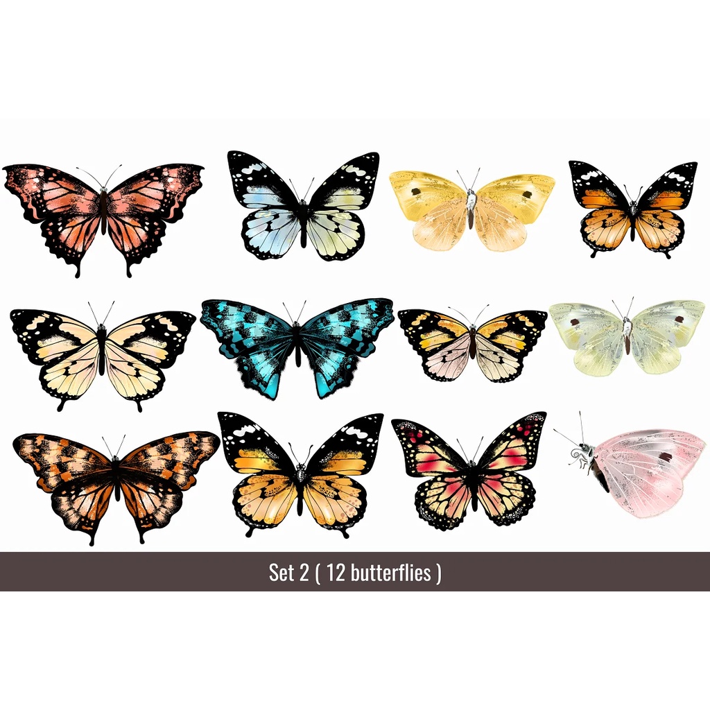 Very Bright Butterfly Mega Bundle