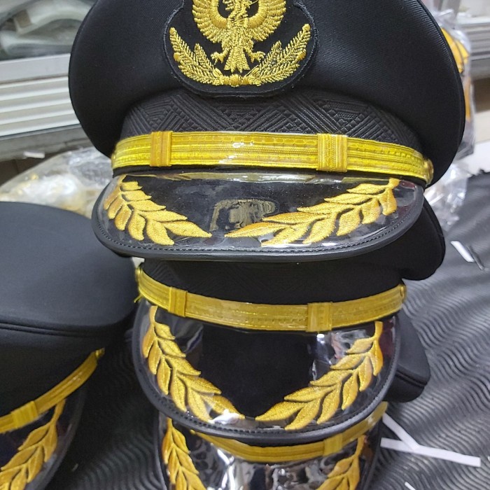 

TOPI PET PILOT