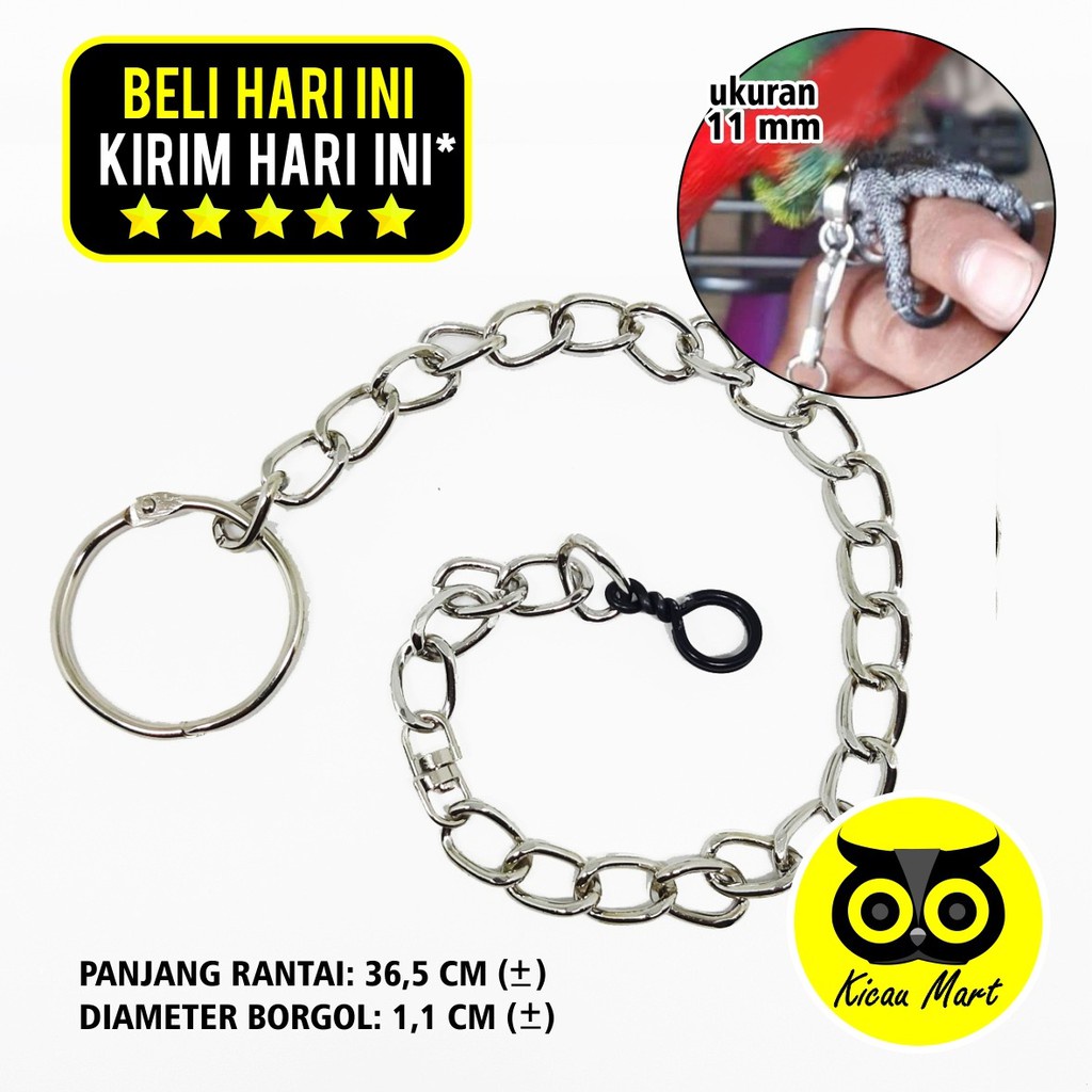RANTAI BESI UJUNG ALUMUNIUM RING PENGAMAN IKAT KAKI BURUNG NURI BEO BETET HANTU ALBA PARROT ACRBNKS