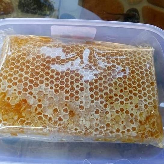

ヒ [COD] Madu sarang asli murni (ORIGINAL) Apis melifera netto 250 gram ☝